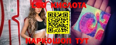 метадон Будённовск