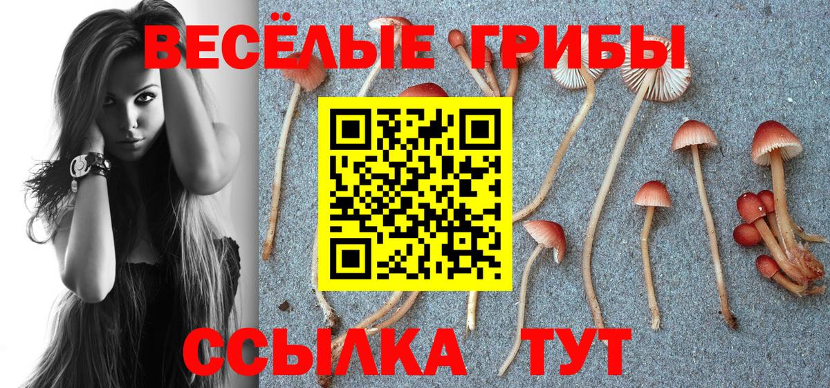 Псилоцибиновые грибы Psilocybe  Вход с VPN  Псилоцибиновые грибы прущие грибы  Ростов-на-Дону 